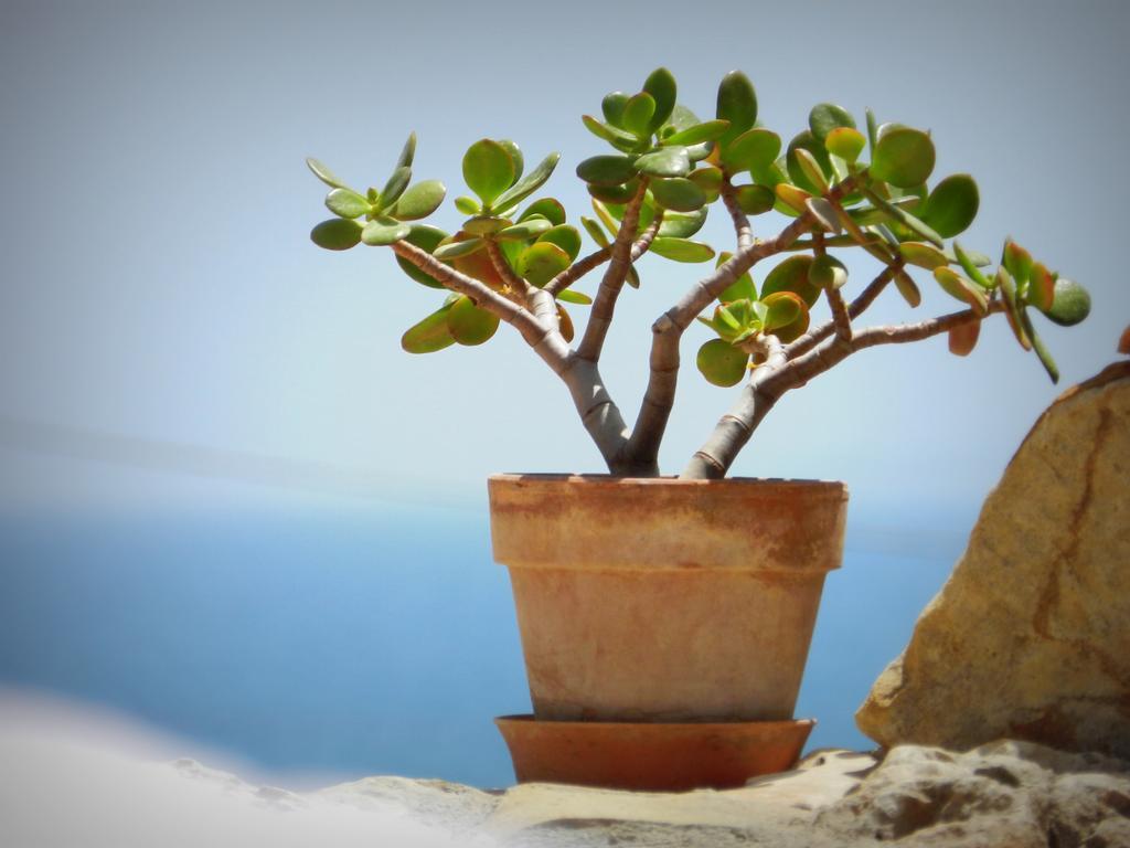 Appartamento Don Nino Lido di Noto Zewnętrze zdjęcie